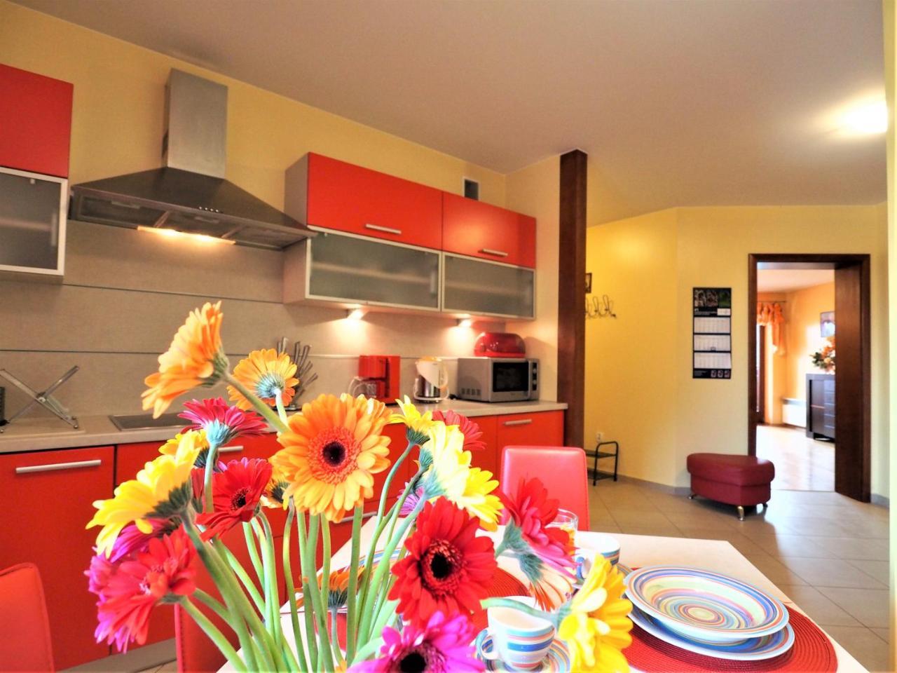 Apartament Widokowy Maki Apartment Zakopane Exterior foto